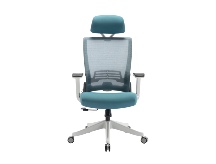 Ergonomic Chairs